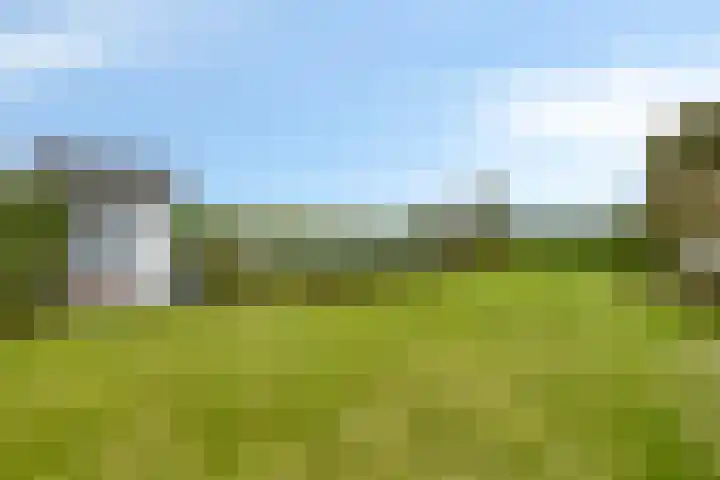 't Killetje 6 Breskens thumbnail 29