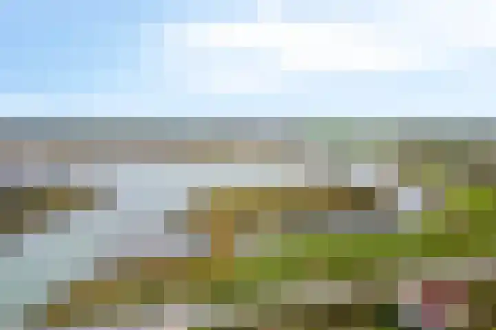 't Killetje 6 Breskens foto 3