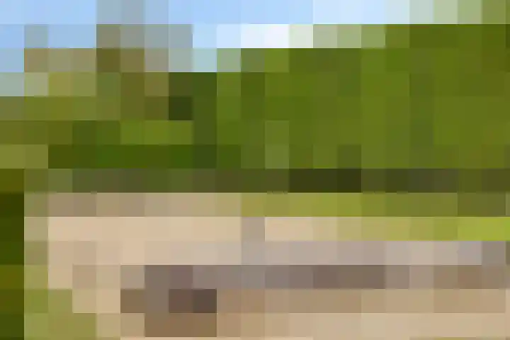 't Killetje 6 Breskens thumbnail 31