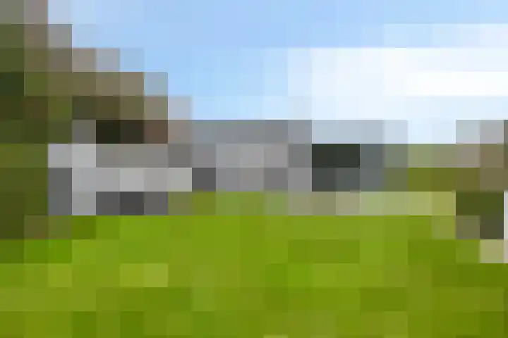 't Killetje 6 Breskens thumbnail 33