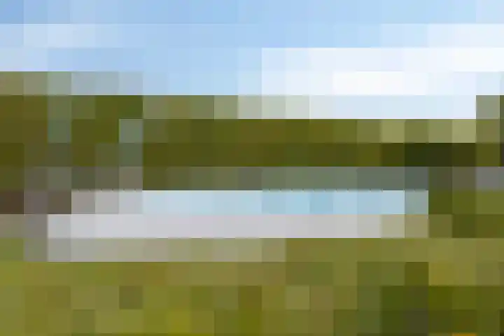 't Killetje 6 Breskens thumbnail 34
