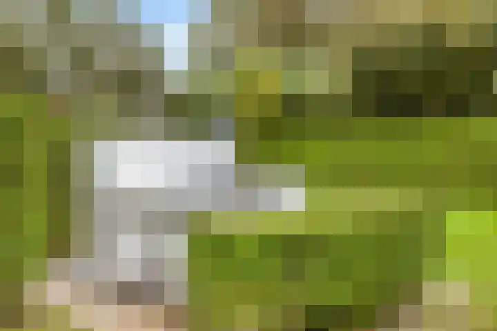 't Killetje 6 Breskens thumbnail 35