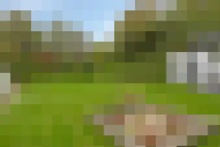't Killetje 6 Breskens thumbnail 37