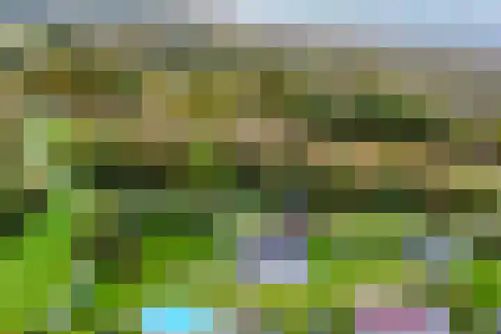 't Killetje 6 Breskens thumbnail 38