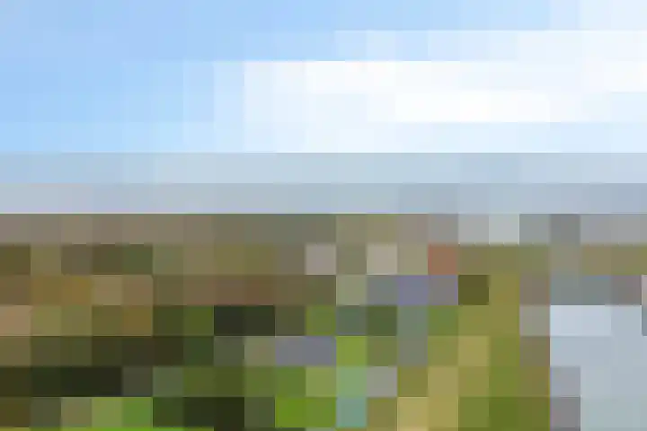 't Killetje 6 Breskens thumbnail 39