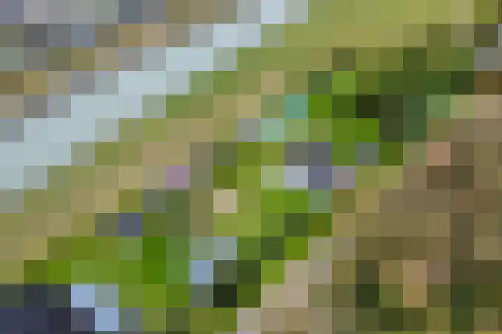 't Killetje 6 Breskens thumbnail 41