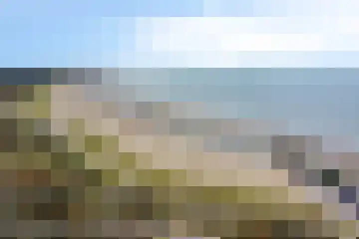 't Killetje 6 Breskens thumbnail 44