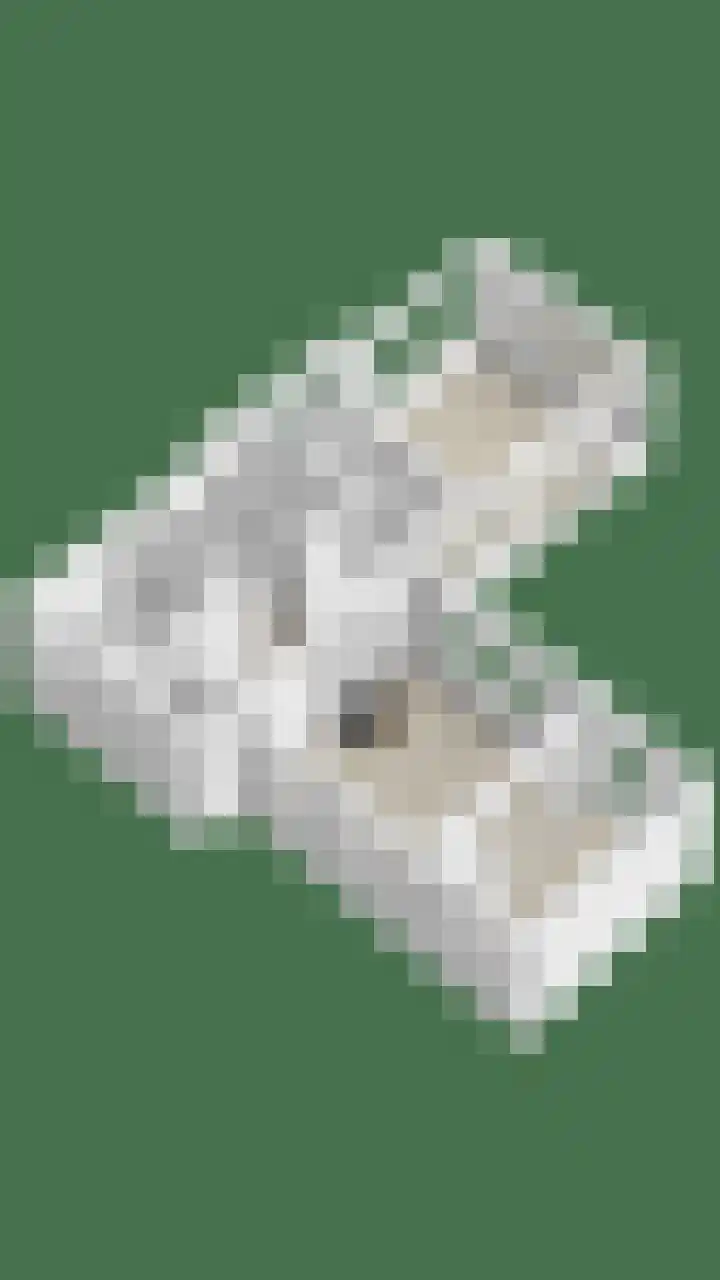't Killetje 6 Breskens thumbnail 51