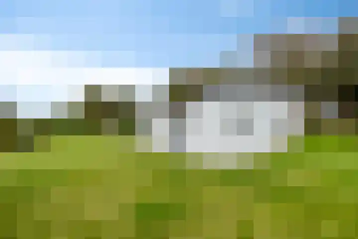 't Killetje 6 Breskens thumbnail 7