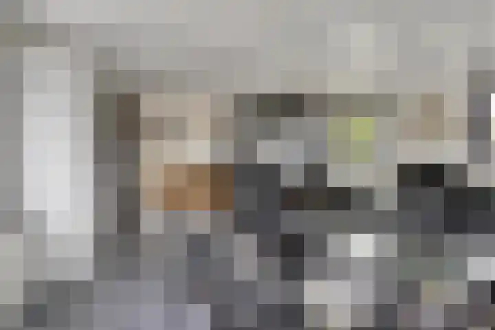 't Killetje 6 Breskens thumbnail 9