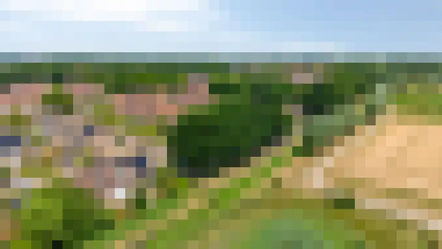 't Kleefse 18 Westervoort thumbnail 33