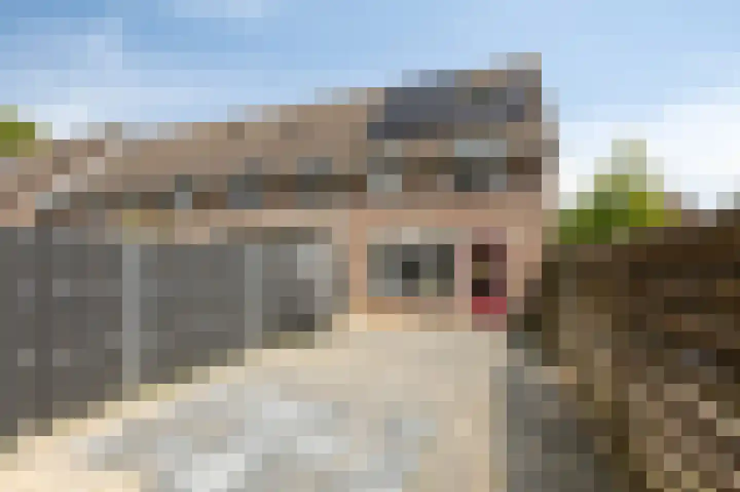 't Kleefse 18 Westervoort thumbnail 37