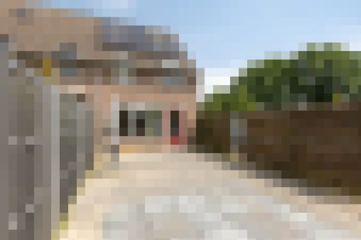 't Kleefse 18 Westervoort thumbnail 38