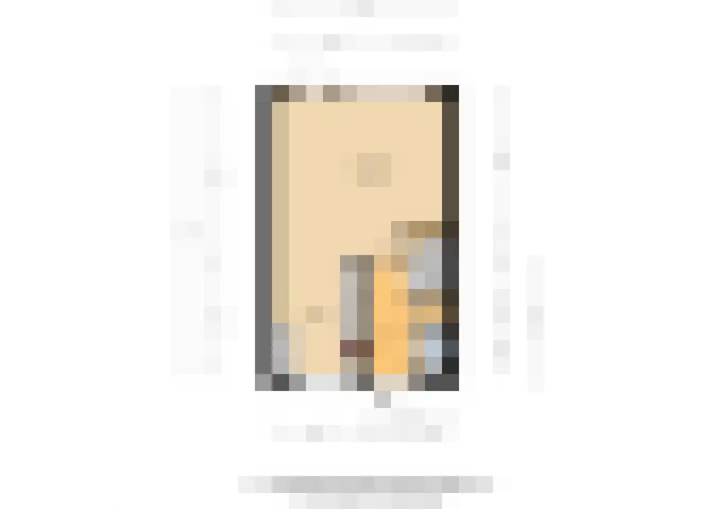 't Kleefse 18 Westervoort thumbnail 39