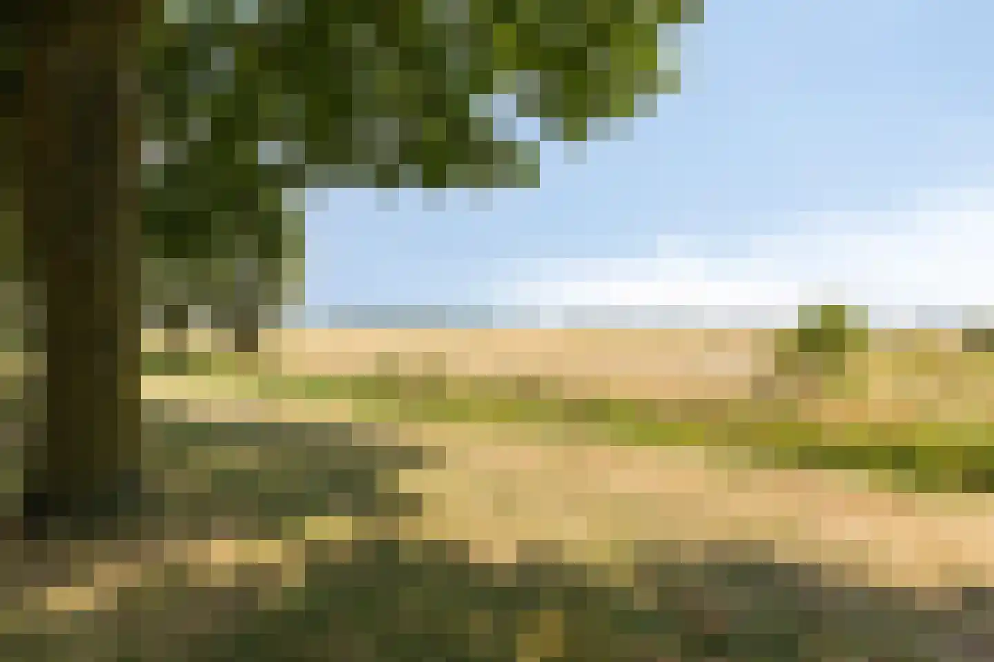 't Kleefse 18 Westervoort thumbnail 4