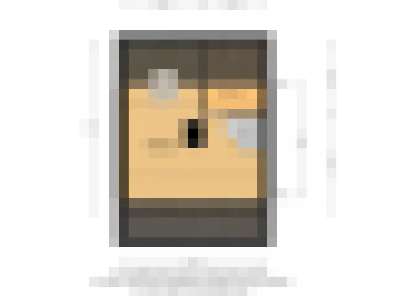 't Kleefse 18 Westervoort thumbnail 41