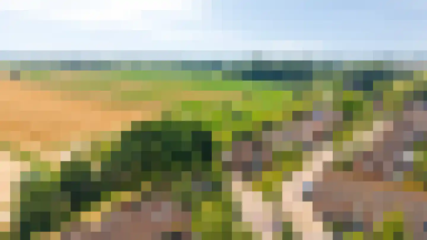 't Kleefse 18 Westervoort thumbnail 5