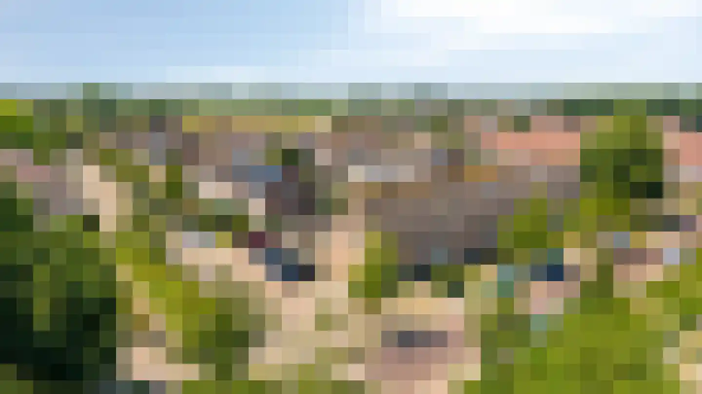't Kleefse 18 Westervoort thumbnail 6