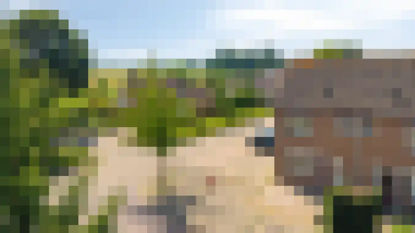 't Kleefse 18 Westervoort thumbnail 7