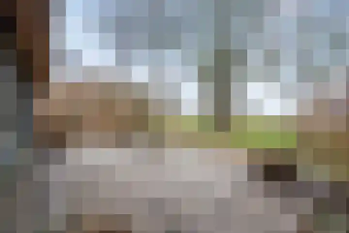 't Klooster 4 Giethoorn thumbnail 30