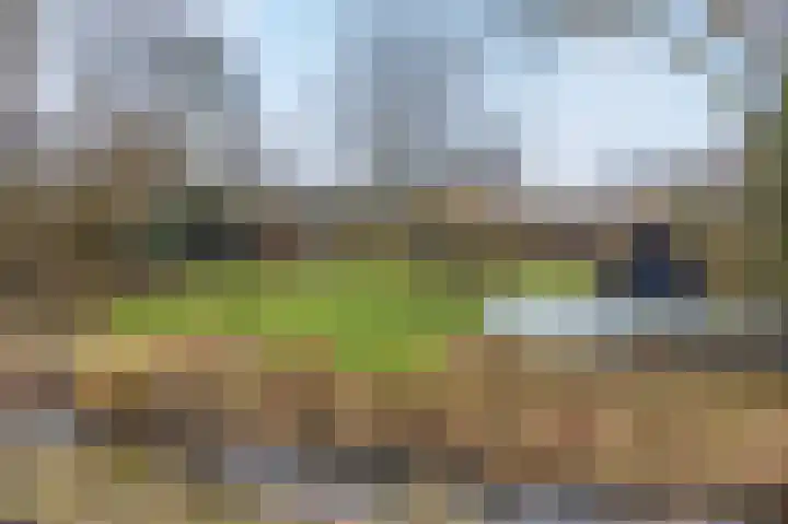 't Klooster 4 Giethoorn thumbnail 32