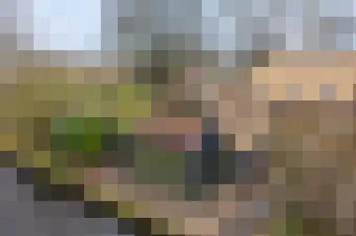 't Klooster 4 Giethoorn thumbnail 36