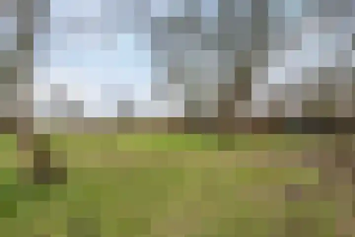 't Klooster 4 Giethoorn thumbnail 40