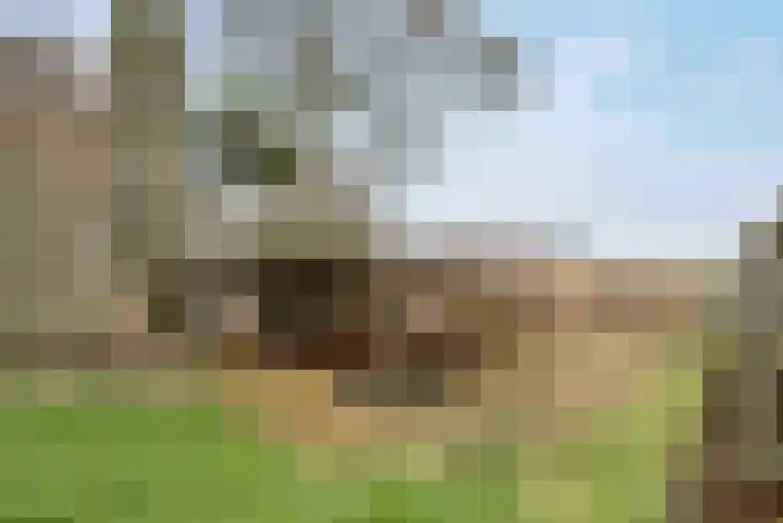 't Klooster 4 Giethoorn thumbnail 43
