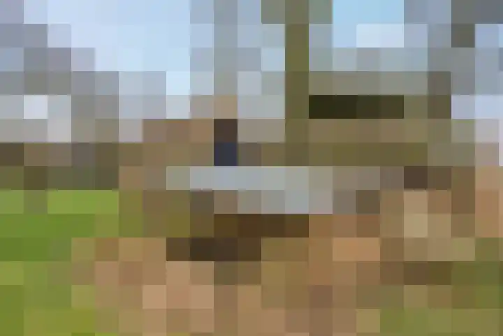 't Klooster 4 Giethoorn thumbnail 44