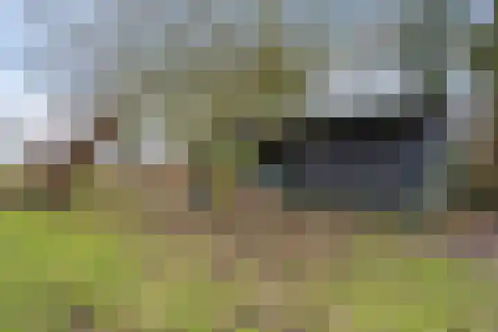 't Klooster 4 Giethoorn thumbnail 46