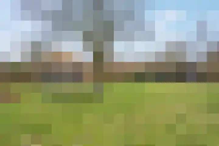 't Klooster 4 Giethoorn thumbnail 47