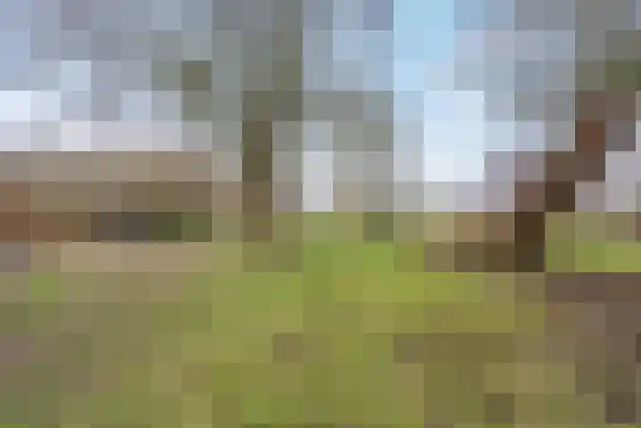 't Klooster 4 Giethoorn thumbnail 48
