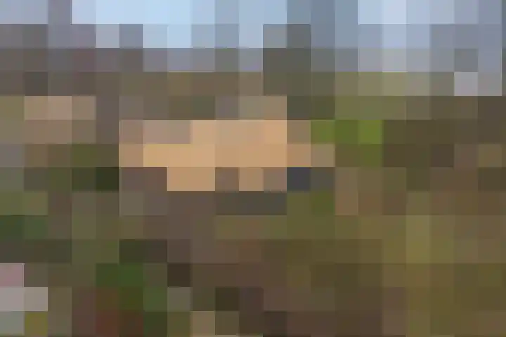 't Klooster 4 Giethoorn thumbnail 53