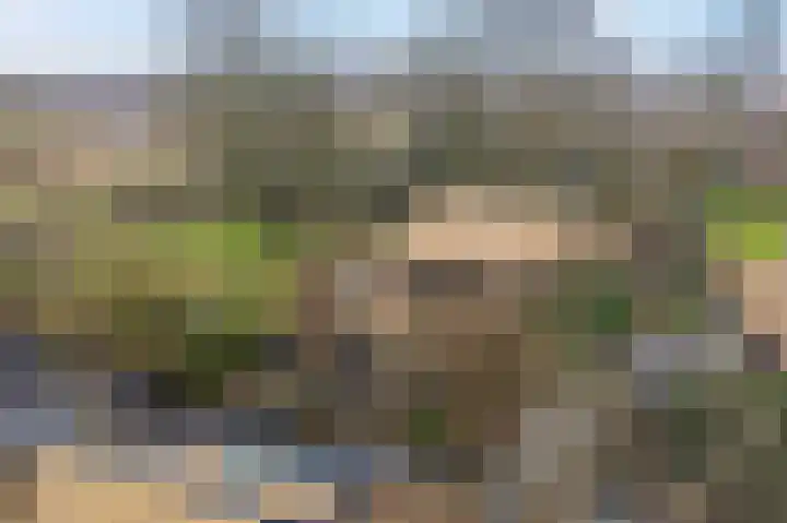't Klooster 4 Giethoorn thumbnail 56