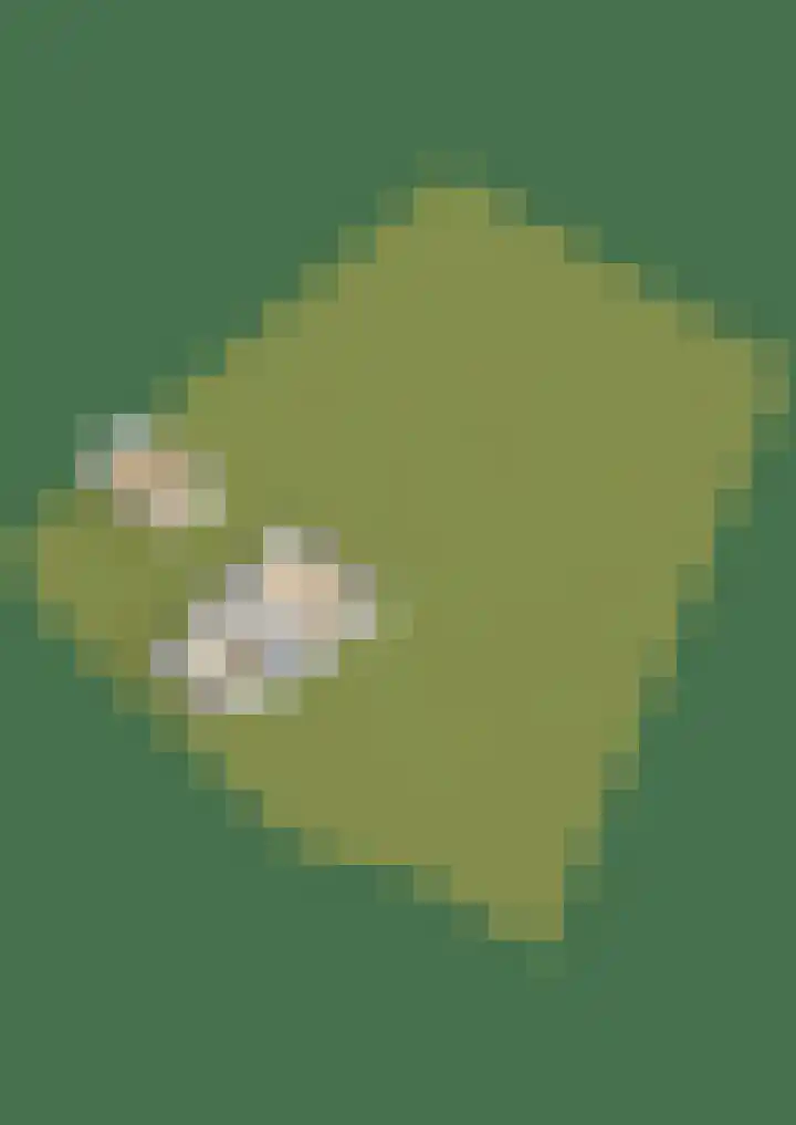 't Klooster 4 Giethoorn thumbnail 64