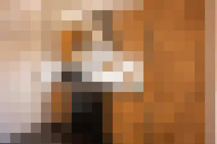 't Koejepad 13 Ouddorp thumbnail 15