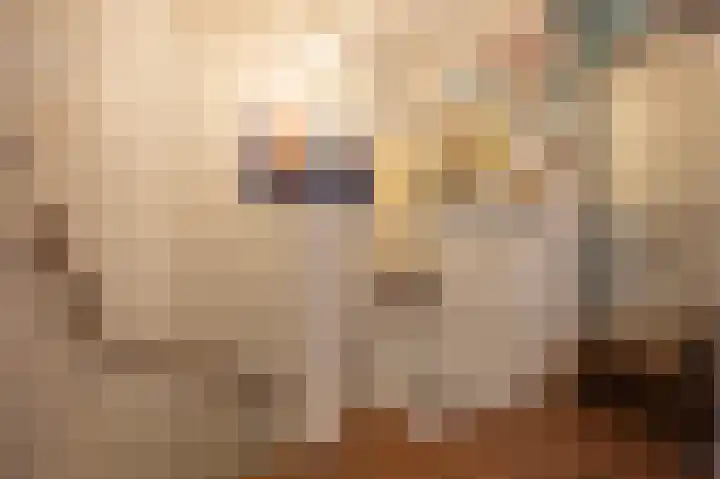 't Koejepad 13 Ouddorp thumbnail 17