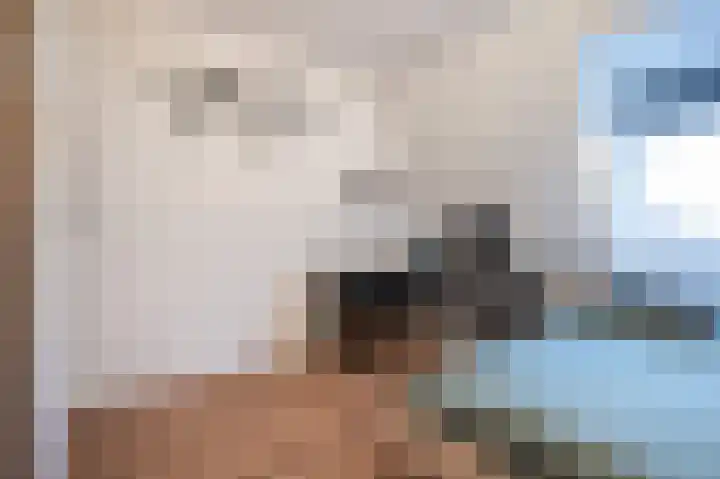't Koejepad 13 Ouddorp thumbnail 19