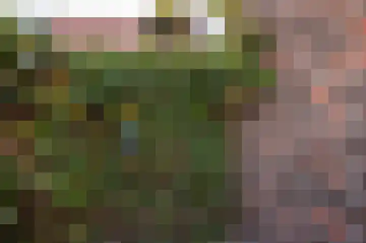't Koejepad 13 Ouddorp thumbnail 29