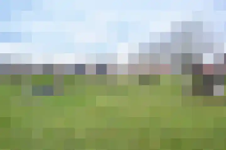 't Koejepad 13 Ouddorp thumbnail 31