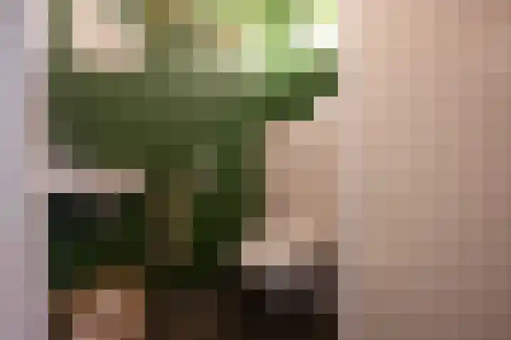 't Koejepad 13 Ouddorp thumbnail 6