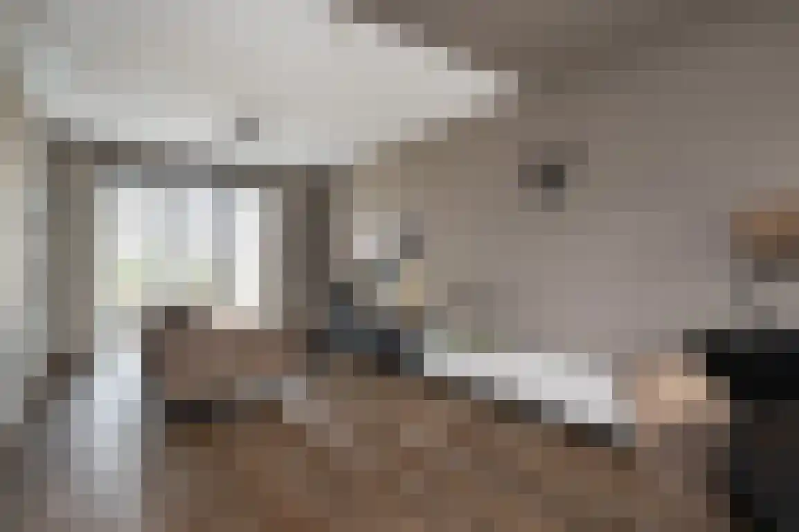 't Koejepad 7 Ouddorp thumbnail 10