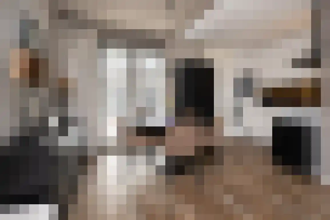 't Koejepad 7 Ouddorp thumbnail 13