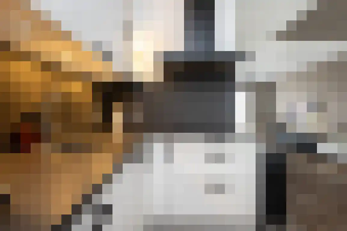 't Koejepad 7 Ouddorp thumbnail 14