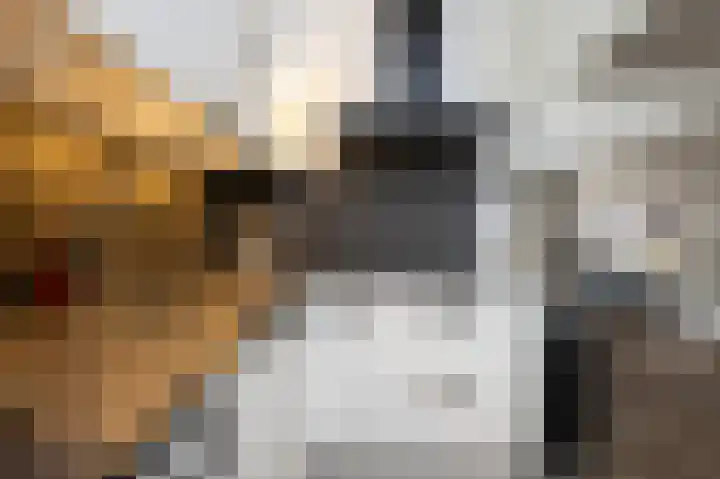 't Koejepad 7 Ouddorp thumbnail 14