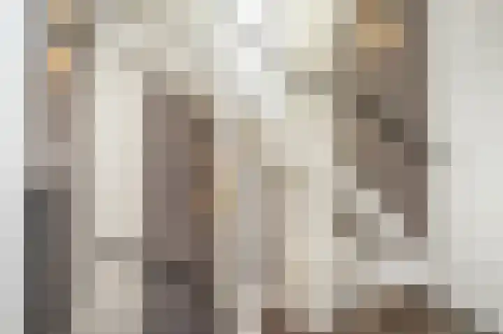 't Koejepad 7 Ouddorp thumbnail 17