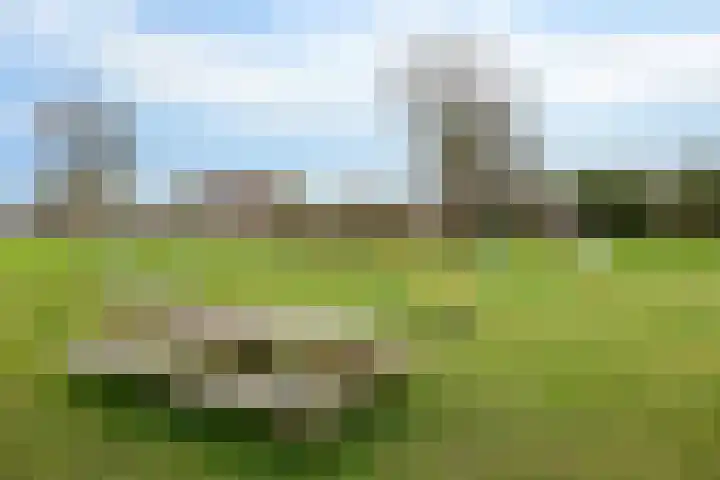 't Koejepad 7 Ouddorp thumbnail 23