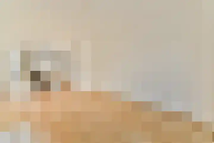 't Koejepad 7 Ouddorp thumbnail 25