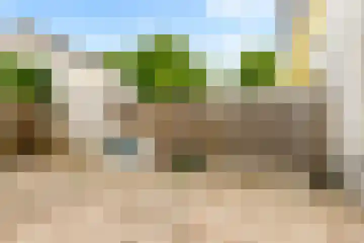 't Koejepad 7 Ouddorp thumbnail 26