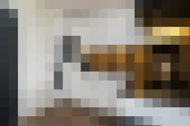 't Koejepad 7 Ouddorp foto 3